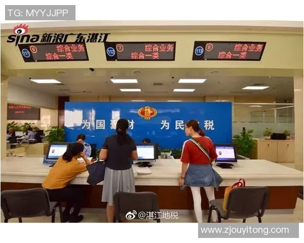 税务改革新政策解析与实施路径探讨：助力经济高质量发展与税收现代化